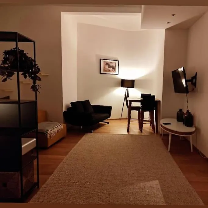 Designer Apartment Between Stephansdome And Belvedere Vienna Austria